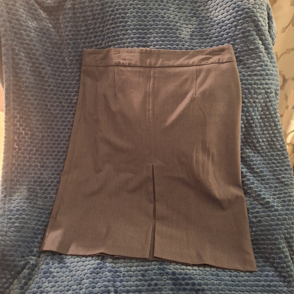 Elegant Gray Women's Skirt By Briggs New York. Size 10P